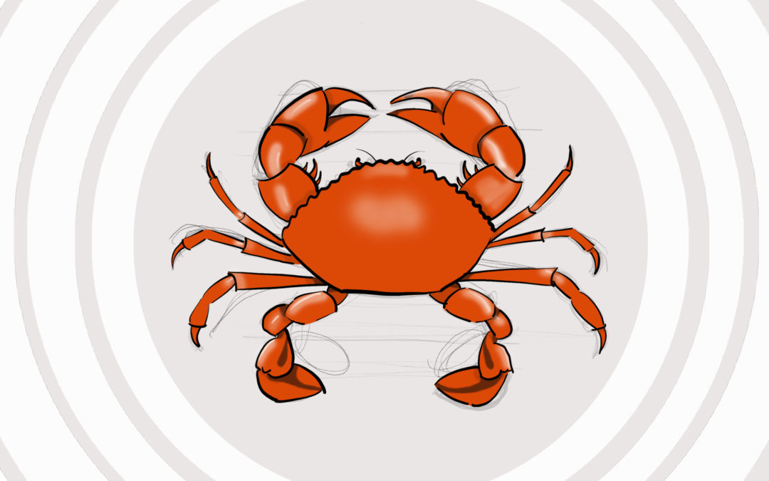Joe’s Crab Shack